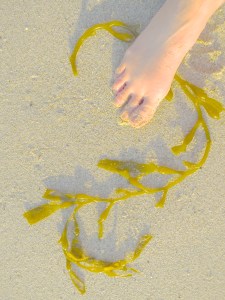 A-Blue Lilah Promo-05-07-13