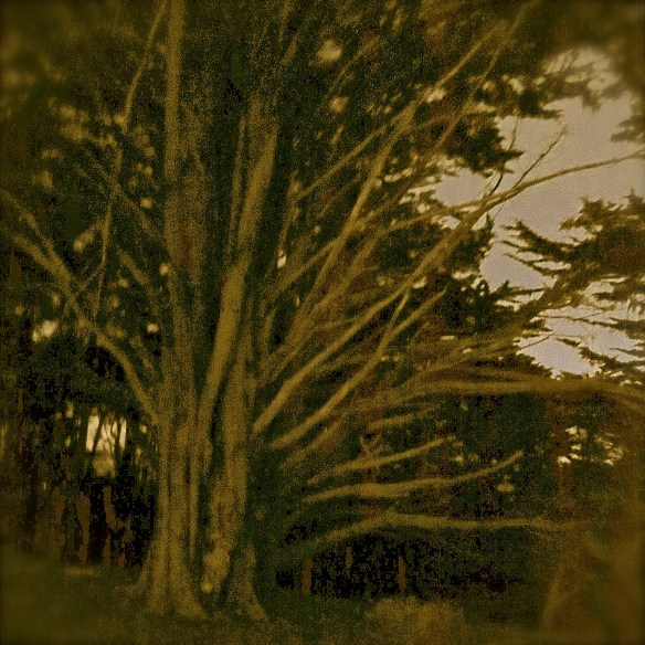 A-What Did You Dream Last Night? 11-29-14